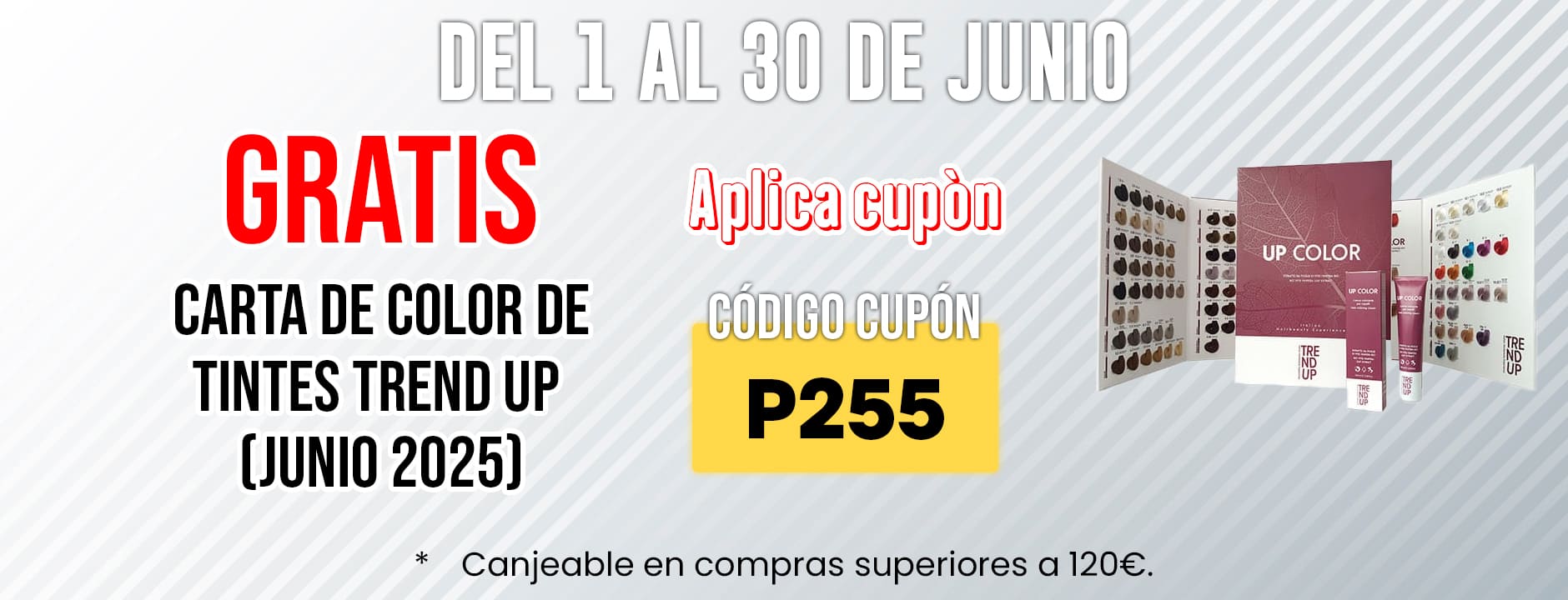 PARTI - CUPÓN CARTA COLOR TREND UP GRATIS