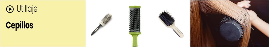 Cepillos Termix Evolution BASIC para cabello normal • Marycel