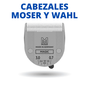 CABEZALES MOSER/WAHL